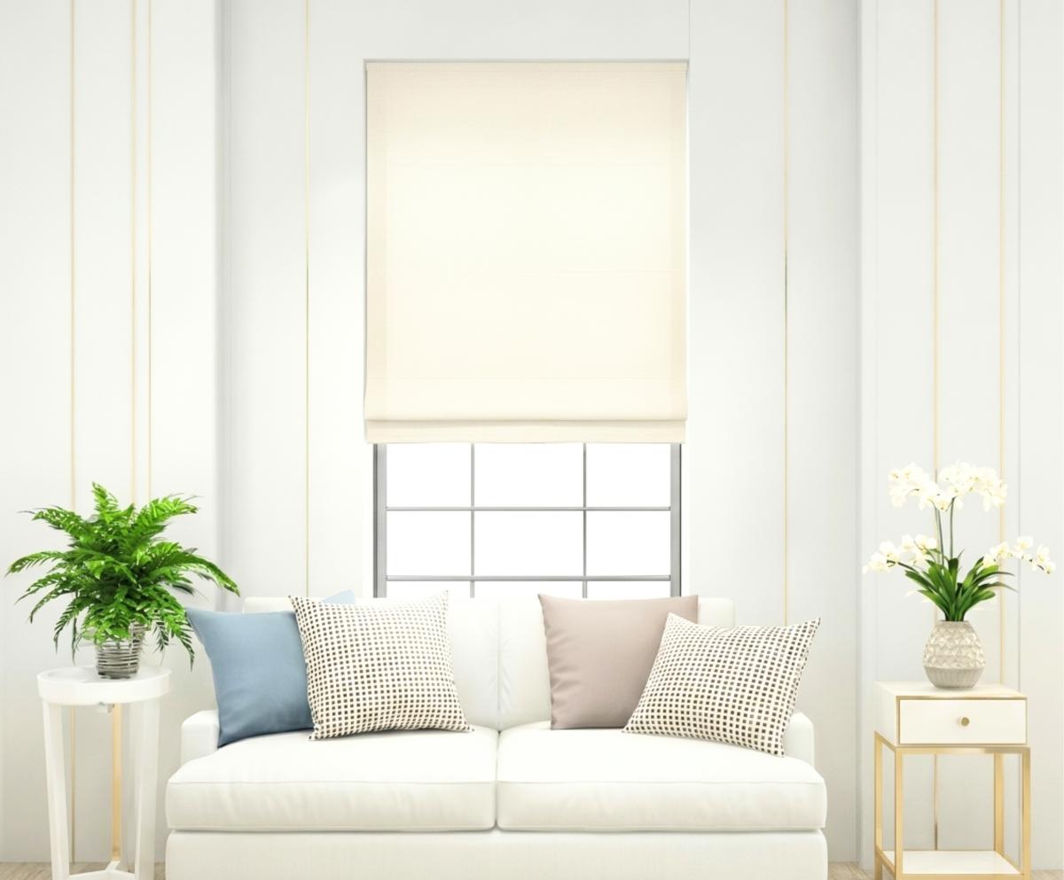 Window Blinds